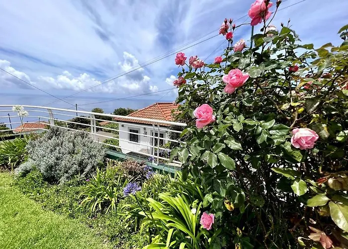 Casa Darcey By Your Madeira Casa vacanze