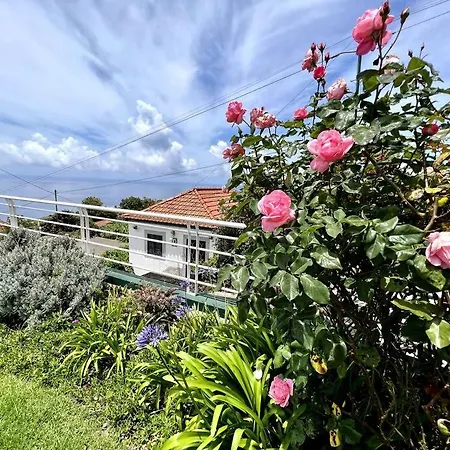 Casa Darcey By Your Madeira Hébergement de vacances